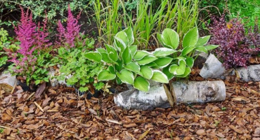 Факторы, влияющие на скорость разрушения мульчи из коры сосны